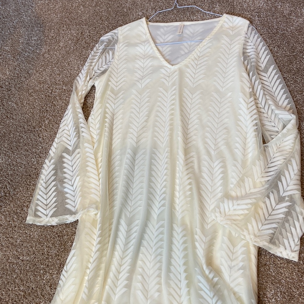 Pinkblush Ivory Maternity Dress